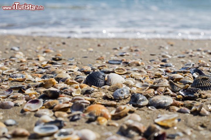 Immagine Il mare pulito di Milano Marittima, dopo una mareggiata - © nnattalli / Shutterstock.com