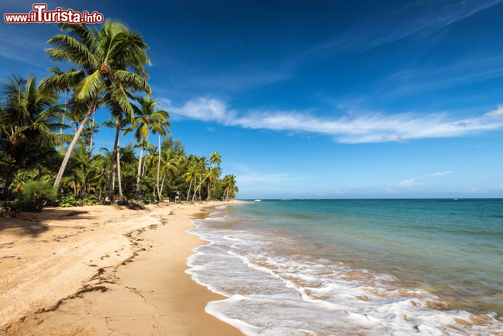 Immagine Il mare limpido dei Caraibi e una spiaggia a Juan Dolio in Repubblica Dominicana