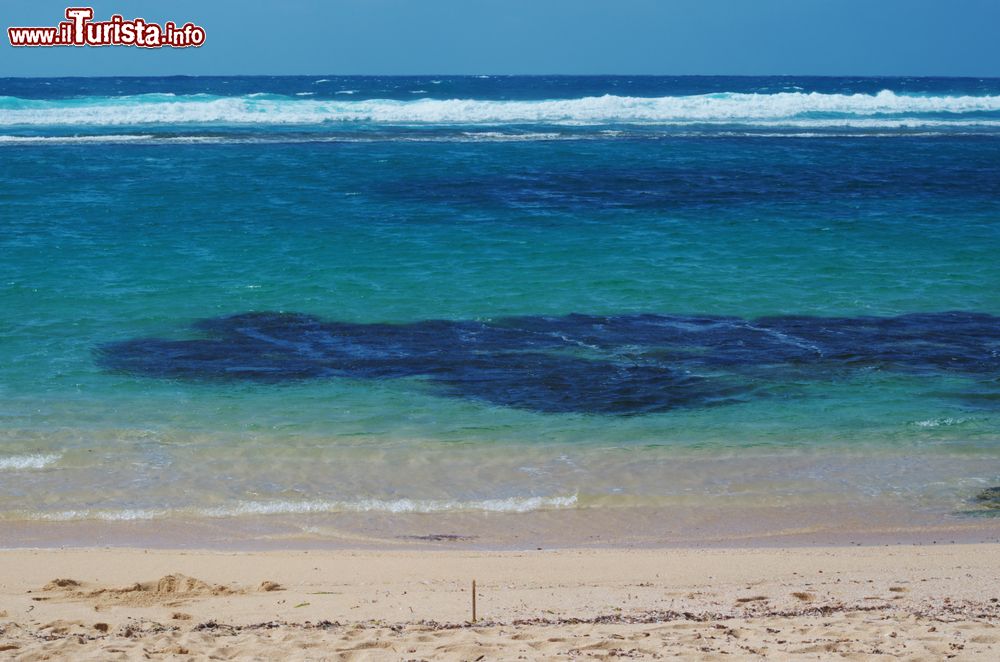 Immagine Il mare limpido della Sardegna occidentale lungo la costa di San Vero Milis