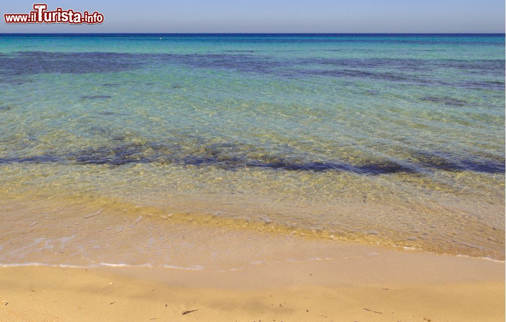 Immagine Il mare limpido della spiaggia di Quarto di Monte ad Ostuni, Puglia.