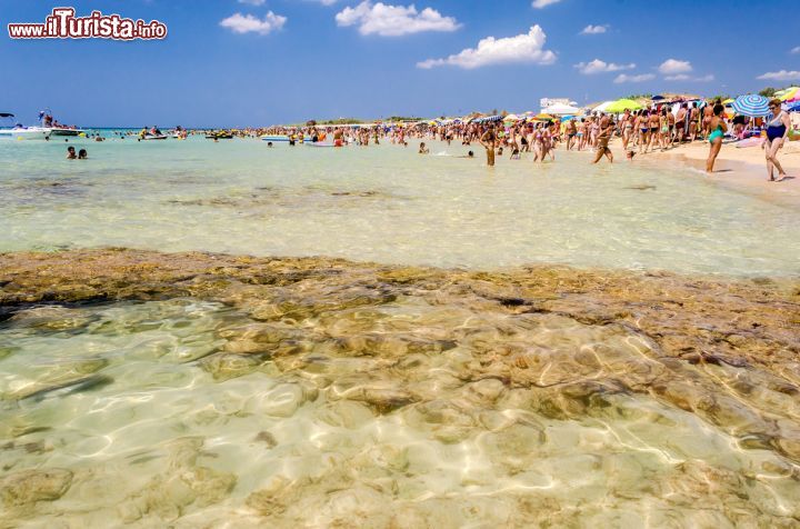 Immagine Agosto in Puglia: il mare limpido di Marina di Pescoluse nel Salento