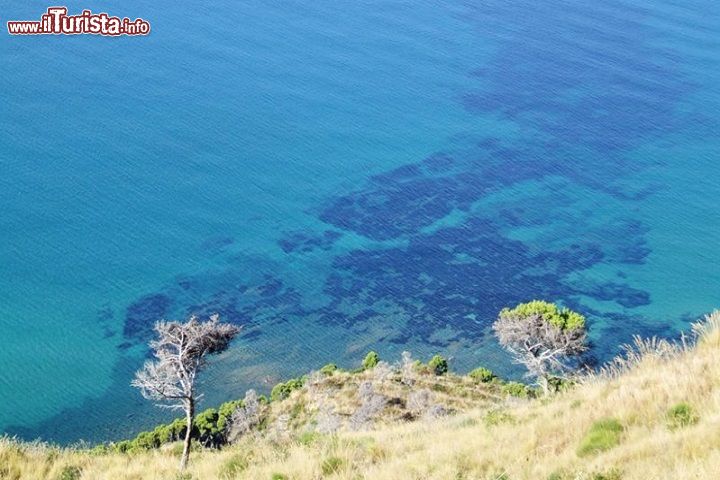 Immagine Il mare limpido di San Mauro Cilento sul Tirreno, una delle Bandiere Blu della Campania - © www.sanmaurocilento.gov.it