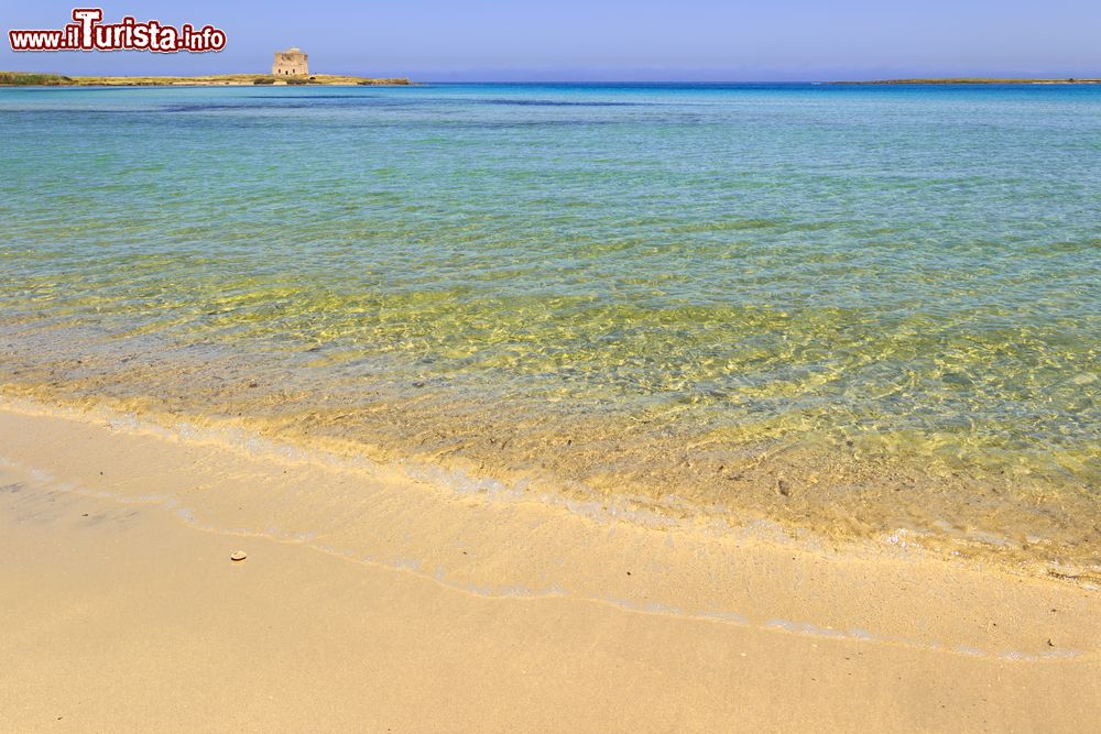 Immagine Il mare limpido di Serranova nei  pressi di Torre Guaceto in Puglia