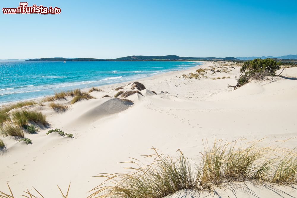 Immagine Il mare limpido e la costa sabbiosa di Porto Pino in Sardegna