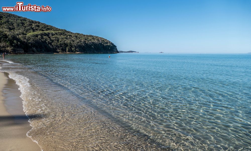 Immagine Il mare limpido e la spiaggia di Cala Violina in Toscana, siamo a Scarlino in Maremma