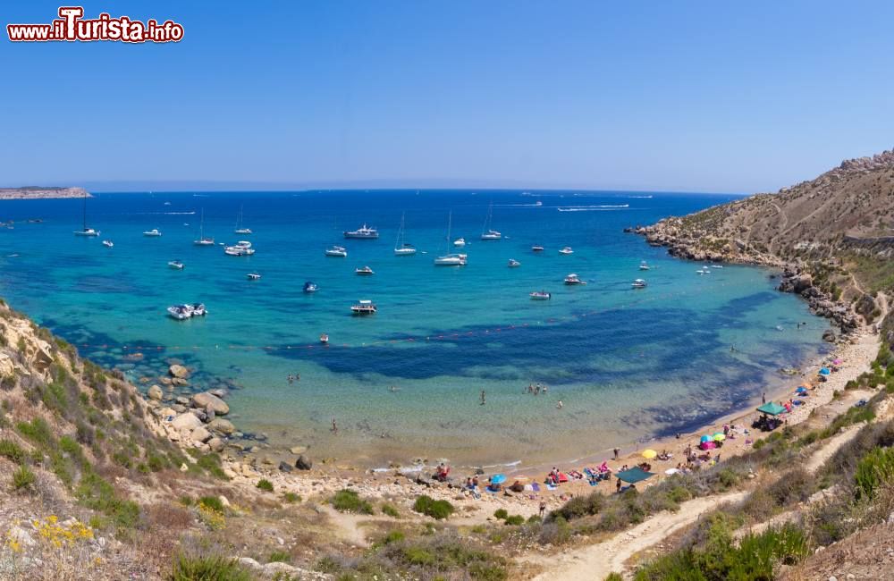 Immagine Il mare low cost di Mellieha bay, vacanze economiche a Malta