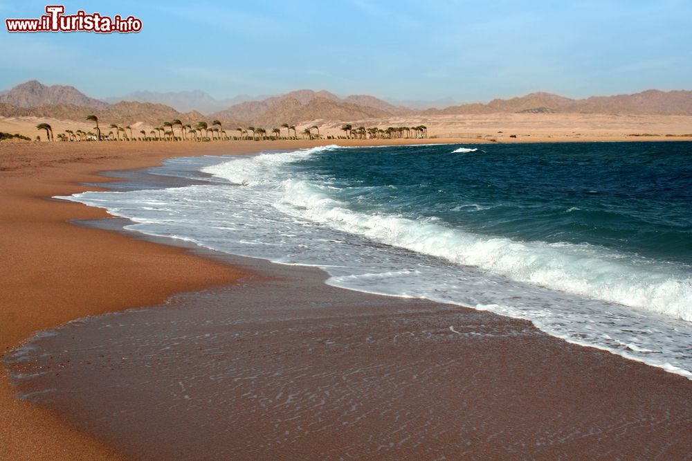 Le foto di cosa vedere e visitare a Nabq Bay