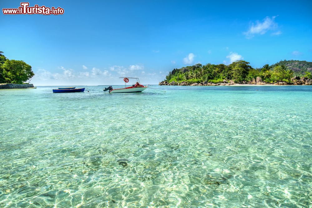 Immagine Il mare trasparente di Port Launay Beach, isola di Mahé, Seychelles.