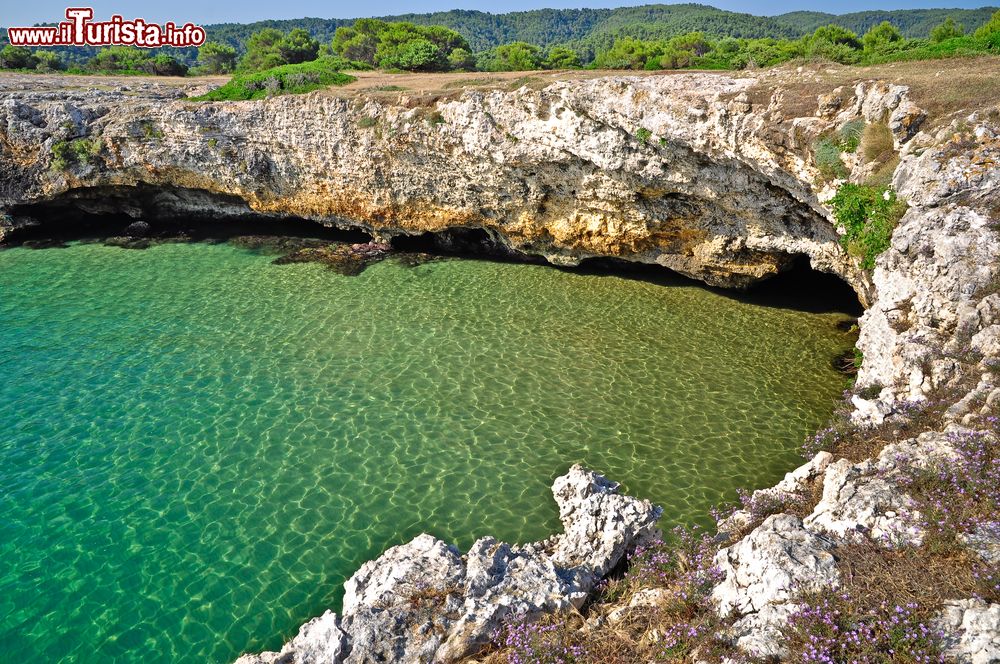 Immagine Il mare verde smeraldo della baia di Sfinale nel Gargano, costa nord della Puglia