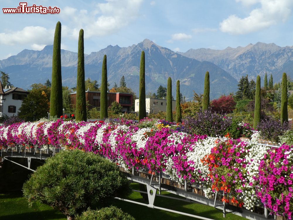 Immagine Il Merano Flower Festival si svolge in primavera, in varie location della città dell'Alto Adige