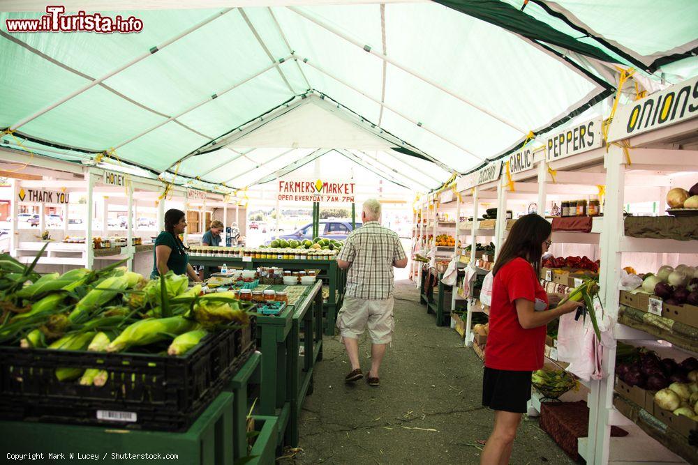 Immagine Il mercato dei contadini in una giornata d'estate a Omaha, Nebraska (USA): aperto tutti i giorni, dalle 7 del mattino alle 7 dis era, offre frutta e verdura fresca - © Mark W Lucey / Shutterstock.com