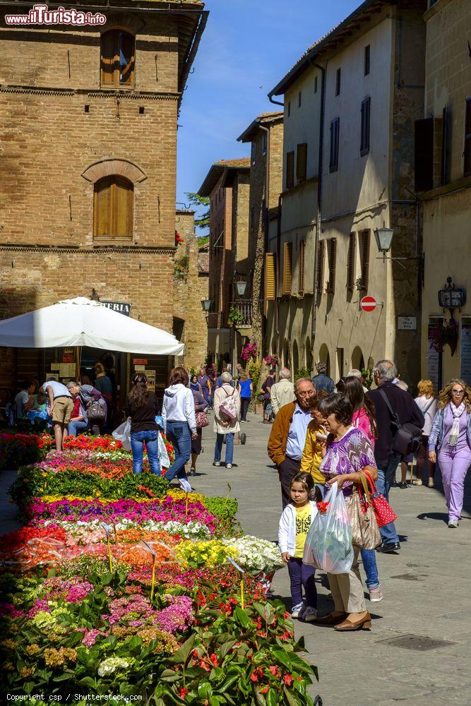 Immagine Il mercato dei fiori a maggio in centro a Pienza, Toscana - © csp / Shutterstock.com