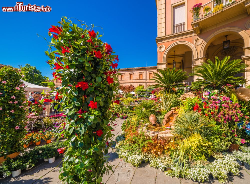 Immagine Il mercato dei fiori in piazza a Santarcangelo di Romagna