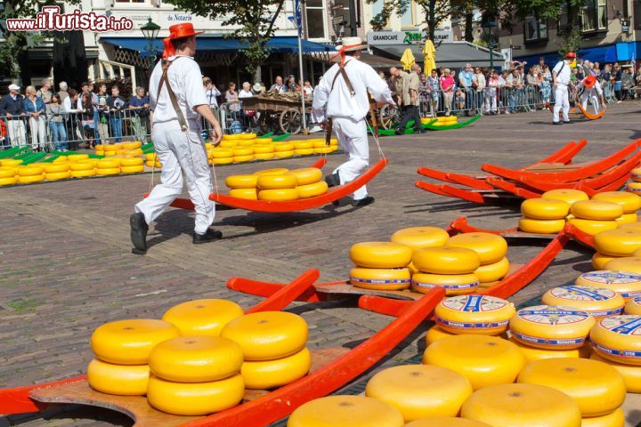 Immagine Il mercato del formaggio di Alkmaar Olanda, con i tradizionali portatori - Sebbene il gouta sia ormai diffuso praticamente in tutto il mondo, non bisogna dimenticare che la sua nascita non solo è olandese ma avvenne anche nel lontano 1184 quando, nei registri, fu il primo ad essere stato scritto e questo fa di lui il più antico del mondo. La tradizione, infatti, continua tuttora nei suoi portatori al classico mercato, come si vede dall'immagine - © VanderWolf Images / Shutterstock.com