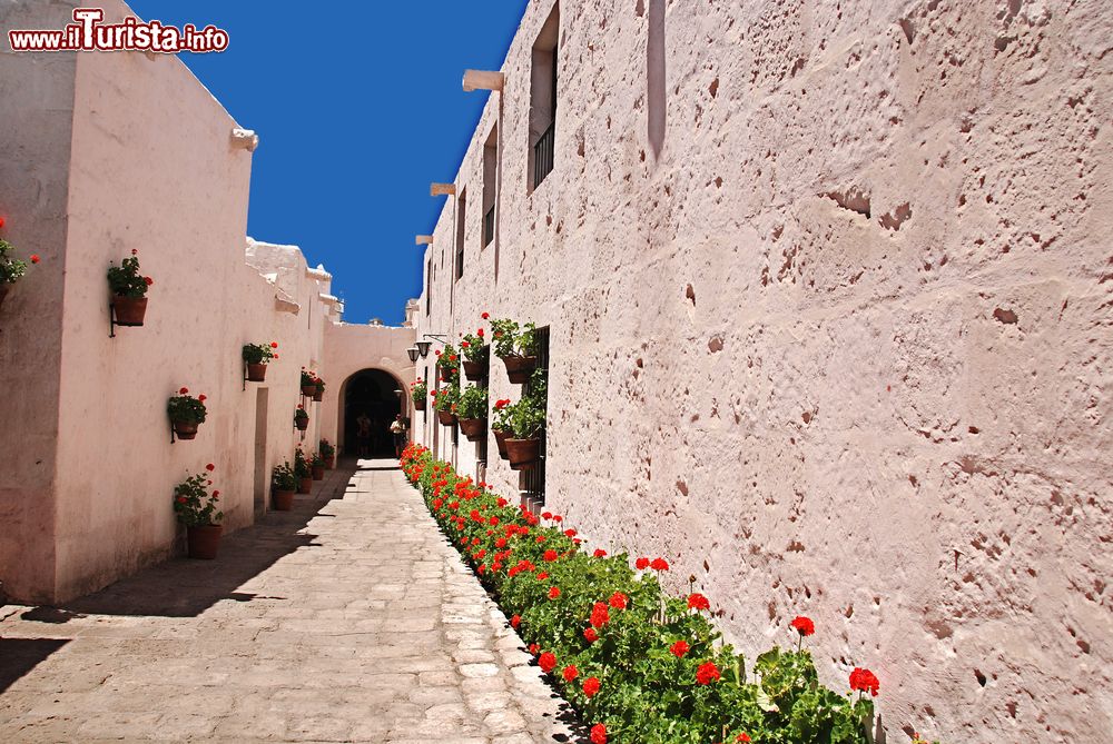 Immagine Il monastero di Santa Catalina a Arequipa, Perù. Gerani fioriti abbelliscono le semplici facciate in intonaco del convento.