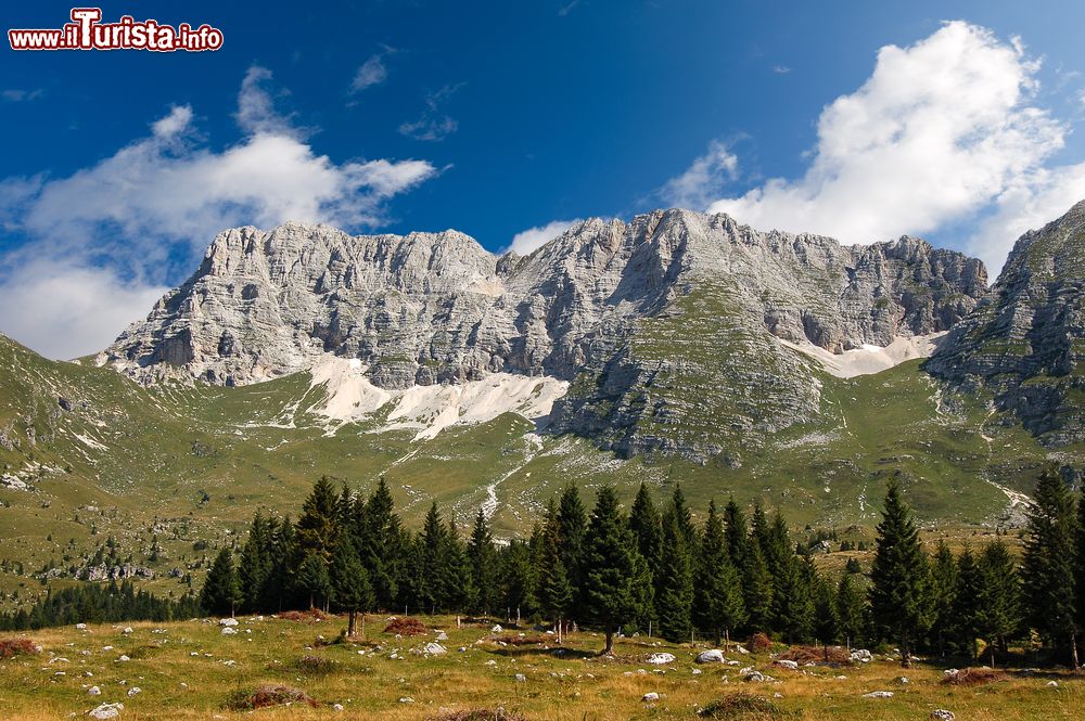 Immagine Il Montasio in Friuli Venezia Giulia, escursioni tra montagne e malghe tipiche dove si produce dell'ottimo formaggio