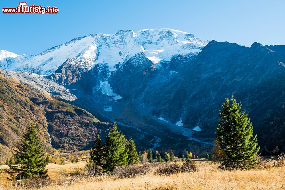 Immagine Il Monte Bianco di Miage innnevato visto dallo chalet di Miage, Saint-Gervais-les-Bains (Francia).