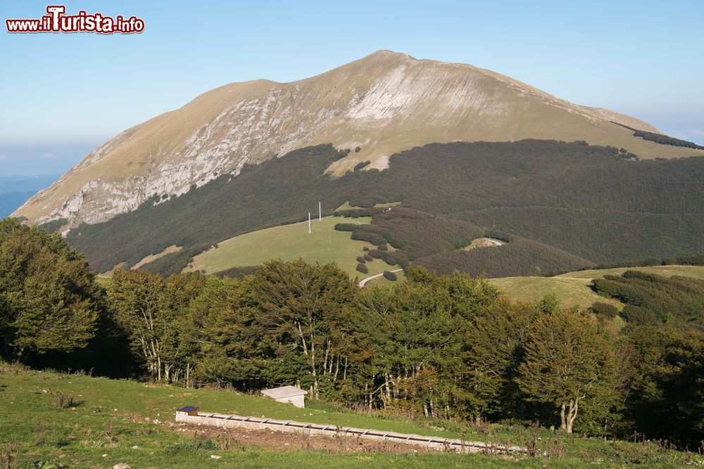 Immagine Il Monte Catria è il piu elevato nella zona di Cantiano (Marche)