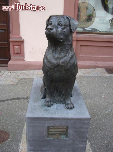 Immagine Il monumento alla razza di cane Rottweiler, che prende il nome da questa città - © Donautalbahner -CC BY-SA 3.0 - Wikimedia Commons.