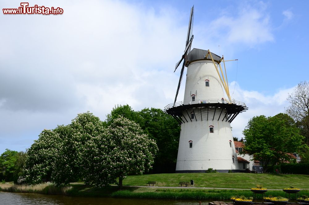 Immagine Il mulino a vento nel parco della città di Middleburg, Paesi Bassi.