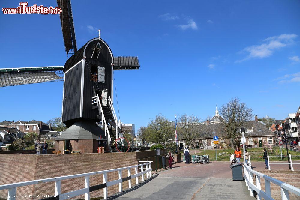 Immagine Il mulino De Valk sul lungocanale di Rijnsburgersingel a Leiden, Olanda. Il nome "De Valk", che tradotto significa il falco, è l'unico mulino rimasto in città dei 19 esistenti un tempo. Le sue origini risalgono al 1667: fu usato per la produzione di farina; dal 1962 è stato invece adibito a museo e esibisce una collezione di oggetti utilizzati dalla Società Olandese del Mulino - © DavidNNP / Shutterstock.com