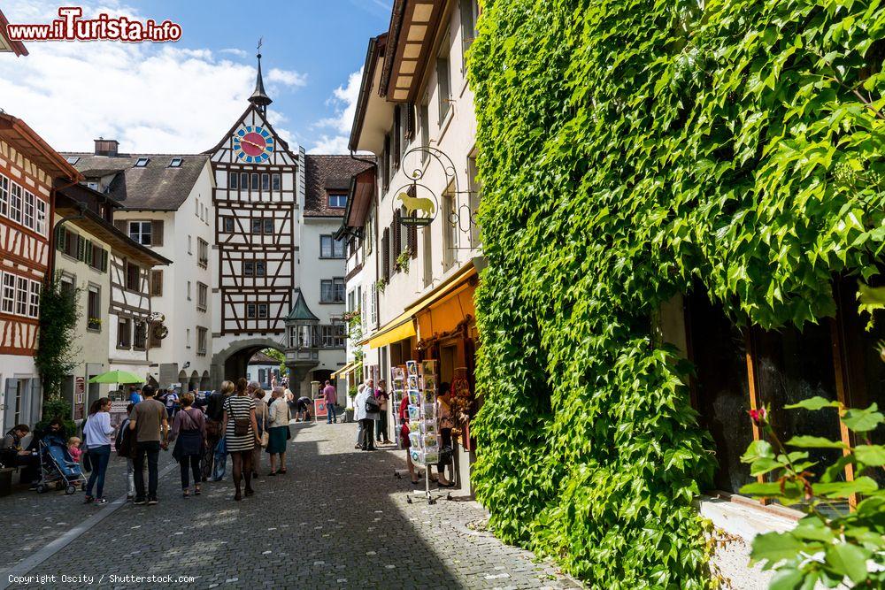 Immagine Il Municipio nel centro storico di Stein am Rhein in Svizzera - © Oscity / Shutterstock.com