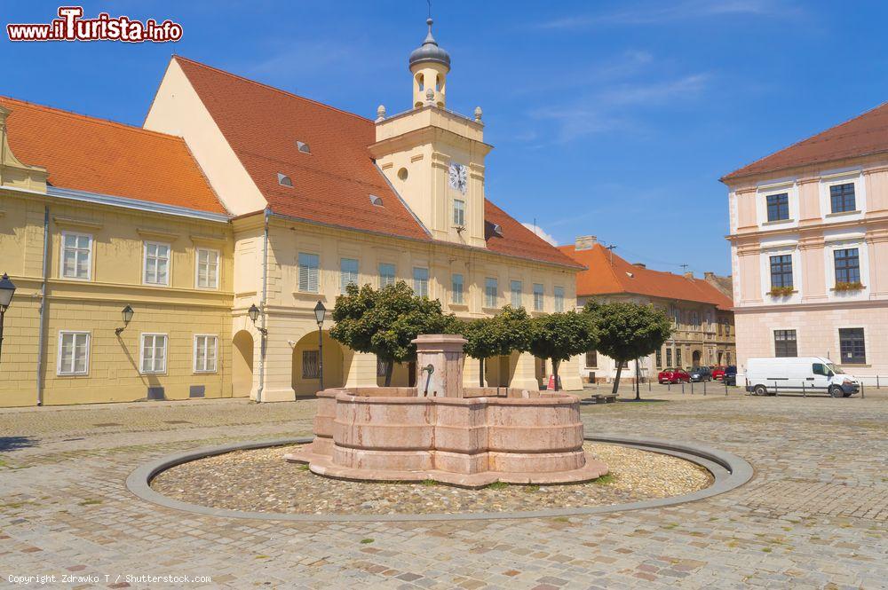 Immagine Il Museo Archeologico di Osijek, Croazia. Qui si possono ammirare esposizioni di archeologia, mineralogia e numismatica ma anche collezioni di costumi, gioielli e altri oggetti che raccontano storia e tradizioni della città e della regione  - © Zdravko T / Shutterstock.com