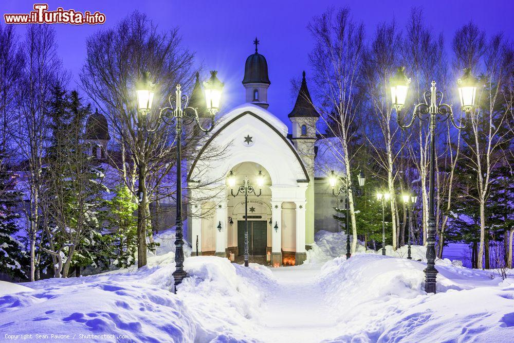 Immagine Il Museo dei Fiocchi di Neve a Asahikawa a mezzanotte, Giappone. Ospitato in un castello di ispirazione europea, questo museo è dedicato alla neve e al ghiaccio - © Sean Pavone / Shutterstock.com