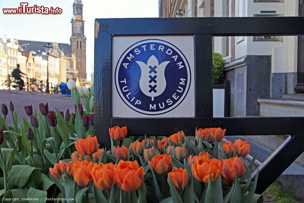 Immagine Amsterdam Tulip Museum, uno dei musei della capitale olandese - © InnaFelker / Shutterstock.com