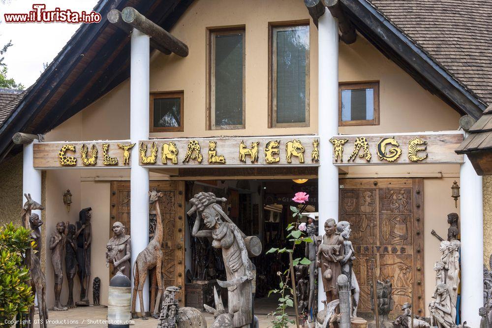 Immagine Il museo del patrimonio culturale di Arusha offre una ricca collezione di fauna, folklore e la storia locale della caccia al leone - © GTS Productions / Shutterstock.com