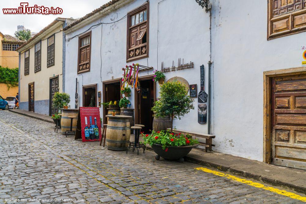 Immagine Il Museo della Malvasia a Icod de los Vinos, isola di Tenerife (Spagna). Questa cittadina è stata il nucleo di produzione del vino Malvasia, considerato per secoli uno dei migliori al mondo - © BBA Photography / Shutterstock.com