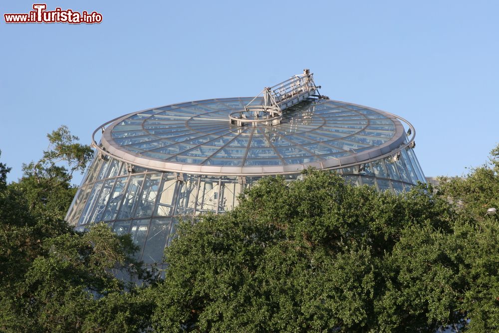 Immagine Il Museo della Scienza di Houston circondato da alberi, Texas. Fondato nel 1909, accoglie ogni anno oltre due milioni di visitatori ed è uno dei più popolari degli Stati Uniti.