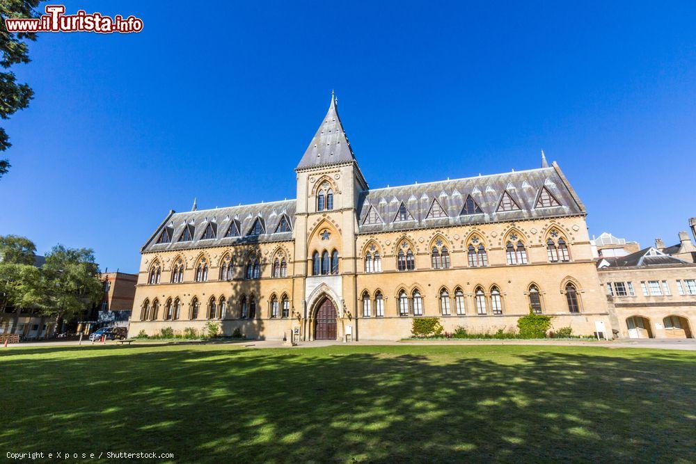 Immagine Il Museo dell'Università di Oxford (Inghilterra), noto anche come OUMNH, in Parks Road - © e X p o s e / Shutterstock.com