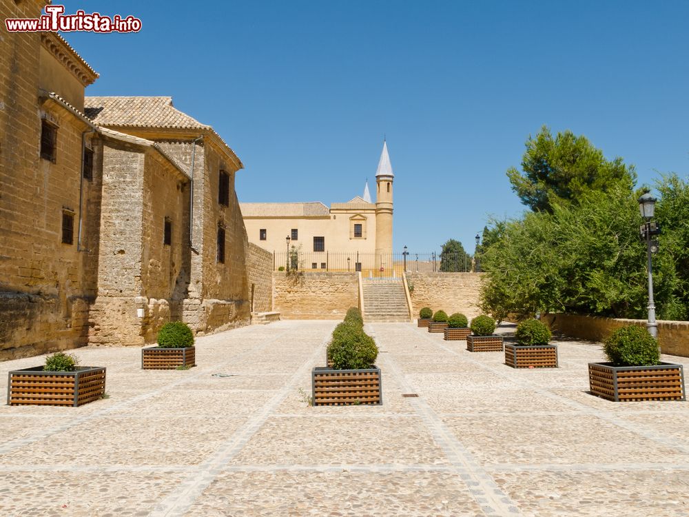 Immagine Il museo di arte sacra e l'antica università di Osuna, Andalusia, Spagna.