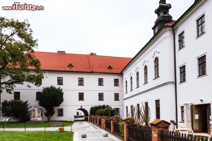 Immagine Il Museo Mendel nell'Abbazia di San Tommaso a Brno, Repubblica Ceca. Fondato nel 2002 per mantenere viva la memoria di Gregor Johann Mendel, naturalista e frate agostiniano ceco, ospita al suo interno oggetti di grande valore culturale - © 330948245 / Shutterstock.com