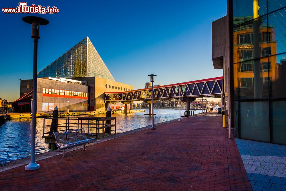 Immagine Il National Aquarium all'Inner Harbor di Baltimora, Maryland, Stati Uniti d'America. Aperto al pubblico nel 1981, questo acquario è visitato da circa 1,5 milioni di persone all'anno e rappresenta la principale attrazione dello stato del Maryland.
