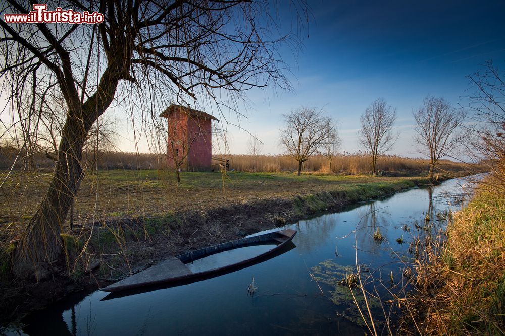 Immagine Il Padule di Fucecchio in Toscana