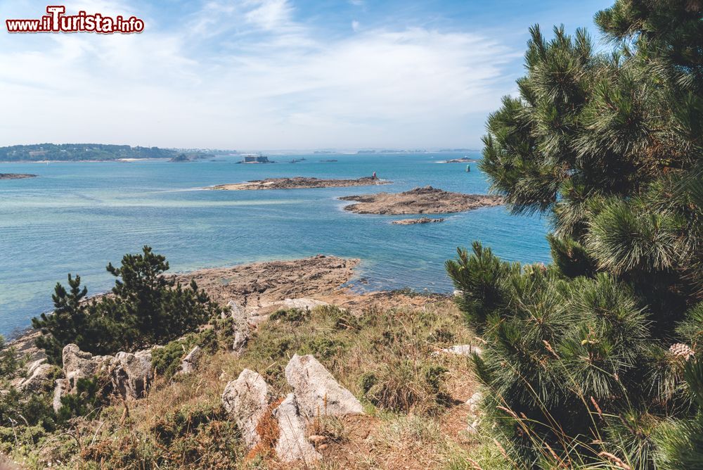 Immagine Il paesaggio brullo dell'isola di Sterec nella baia di Morlaix, Finistere, Francia.