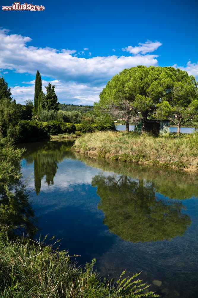 Immagine il paesaggio bucolico delle campagne di Strunjan (Strugnano) in Slovenia