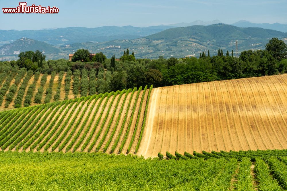 Le foto di cosa vedere e visitare a Porciano