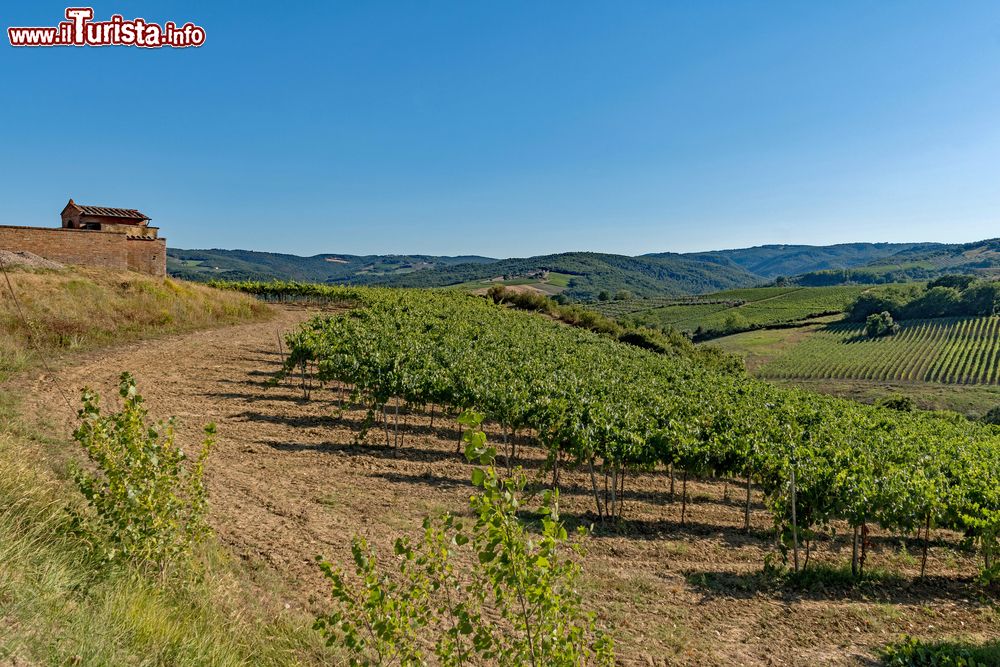 Immagine Il paesaggio collinare intorno a Gambassi Terme, Toscana