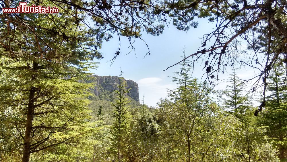 Immagine Il paesaggio del Montarbu una zona ricca di scorci naturali nei dintorni di Ussassai in Sardegna