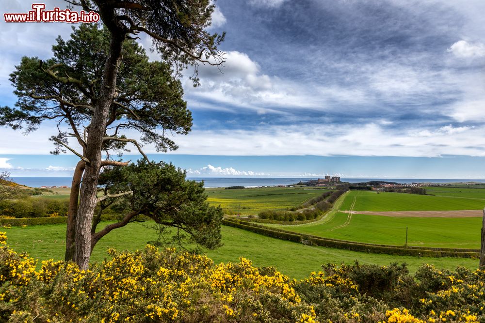 Immagine Il paesaggio del Northumberland con il villaggio e il Castello di Bamburgh