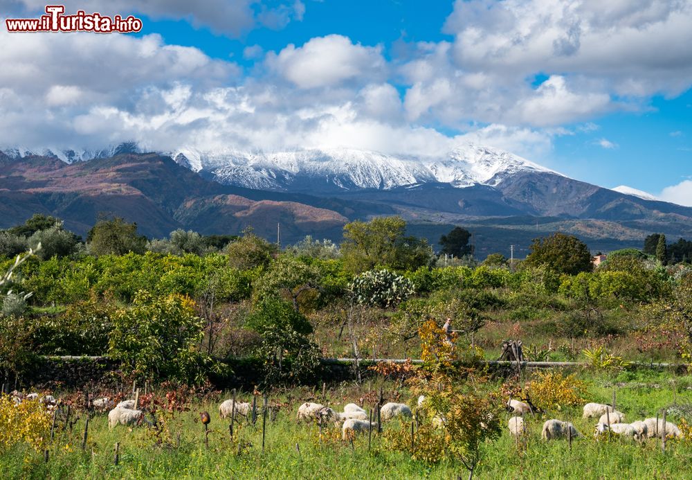 Immagine Il paesaggio del vulcano Etna innevato dalla campagne ad ovest di Aci Catena in Sicilia