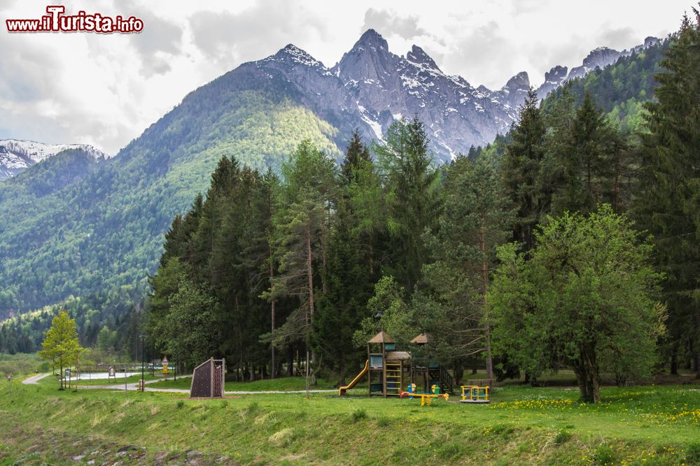 Immagine Il paesaggio delle Alpi Carniche, vette dolomitiche del Friuli Venzia GIulia: siamo a Forni di Sopra