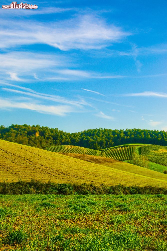 Immagine Il paesaggio delle campagne del Valdarno, vicino a Castelfranco di sopra