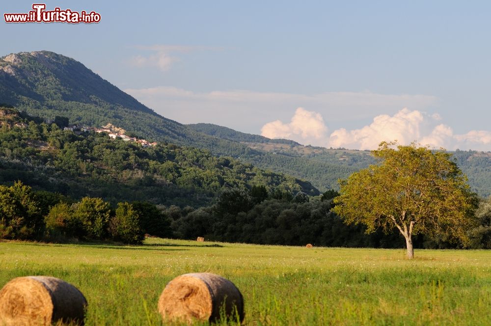 Immagine Il paesaggio delle montagne intorno a Rocchetta a Volturno in Molise, Provincia di Isernia