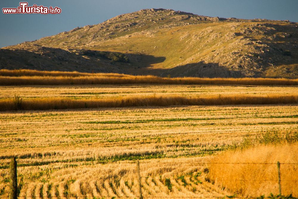 Immagine Il paesaggio delle Pampas nei dintorni di Tandil, Argentina