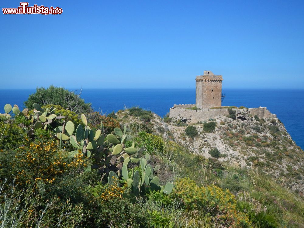 Immagine Il paesaggio intorno alla Torre Normanna di Altavilla Milicia in Sicilia