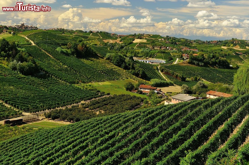 Immagine Il paesaggio magico del Roero in Piemonte